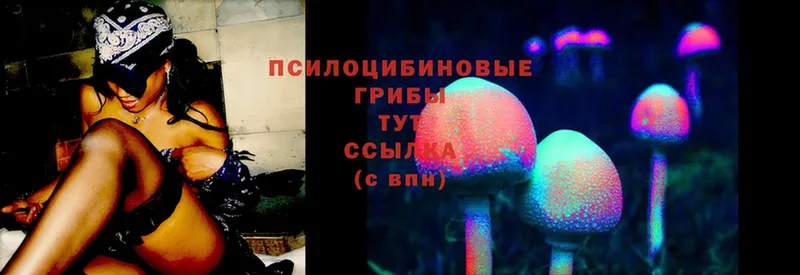 Галлюциногенные грибы Psilocybine cubensis  Мензелинск 